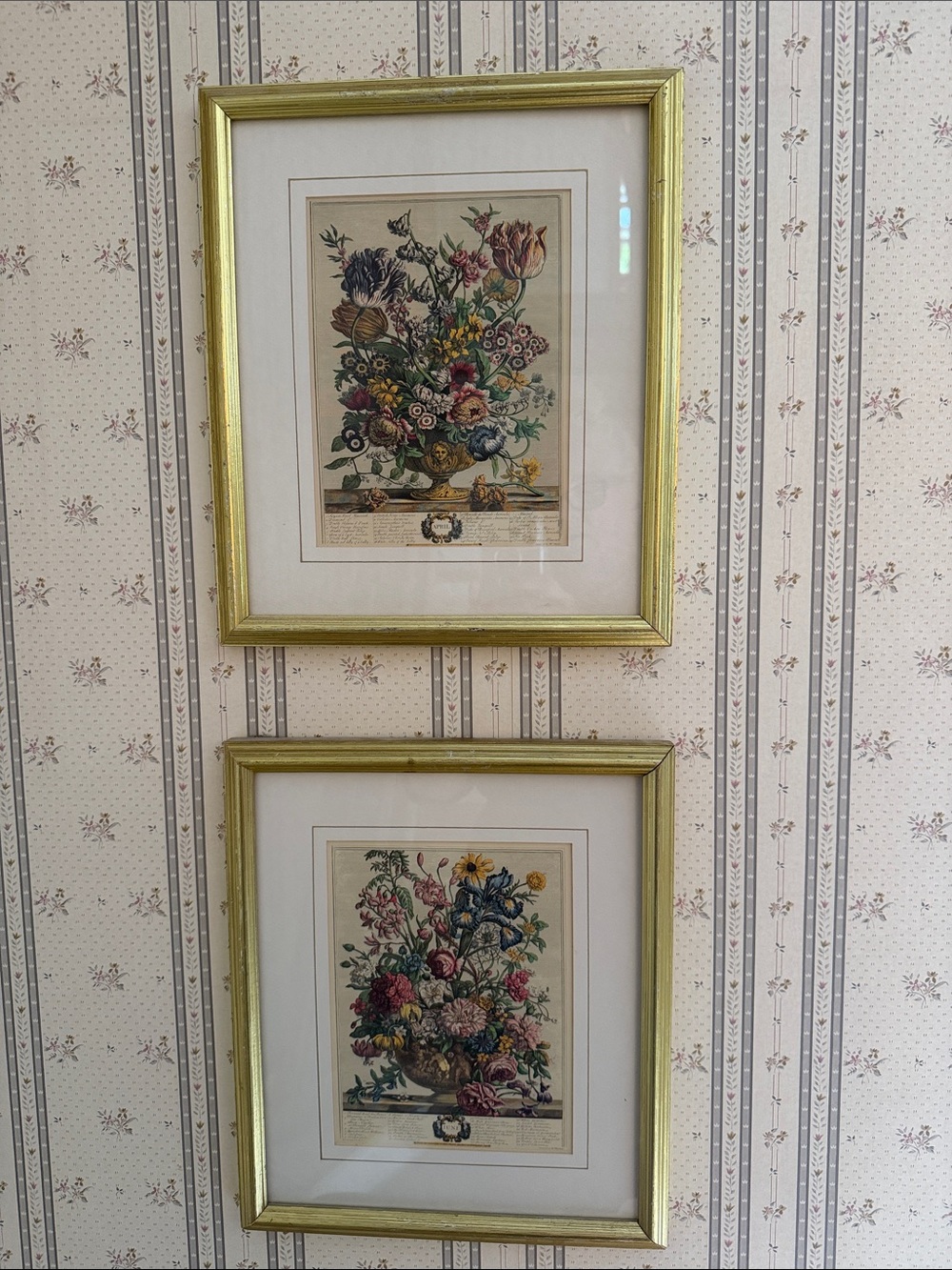 Gold Framed Floral Wall Art - Set of 2 - Multicolor